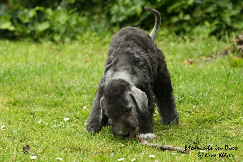 Antares 2009-07-12 (12).JPG